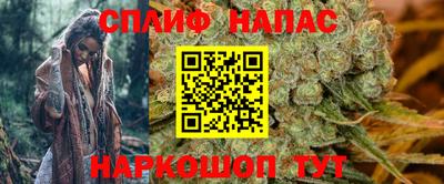 ECSTASY Гудермес