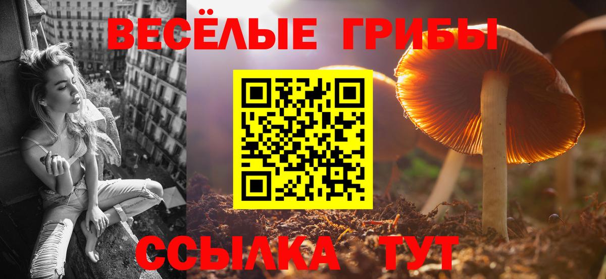 Галлюциногенные грибы мухоморы  Галлюциногенные грибы прущие грибы  Вход с VPN  Саяногорск 